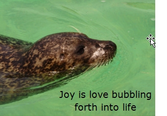 Joy is love bubbling forth into life