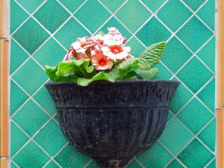 bloemen in pot bloemen in pot
