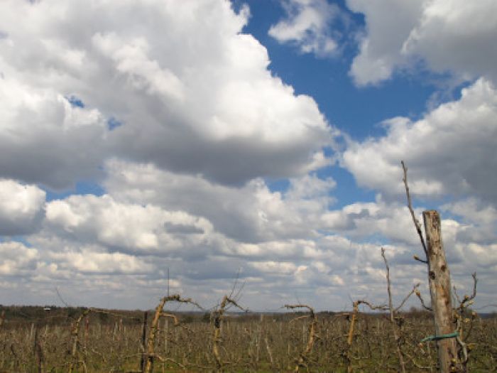 wolkenveld