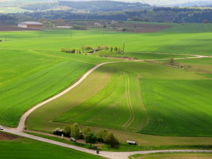 landschap in vogelzicht