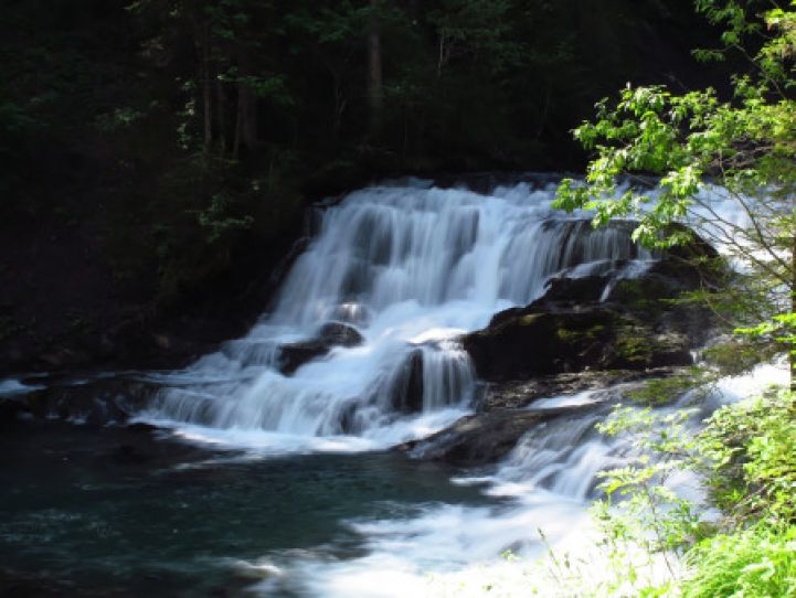 rapids rapids