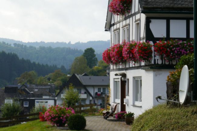 Flowers on house