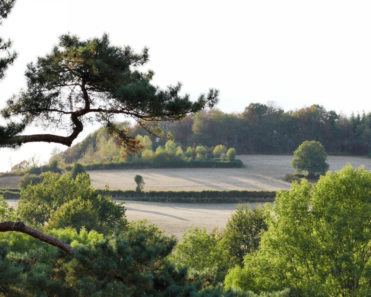 morgenmistMorvan