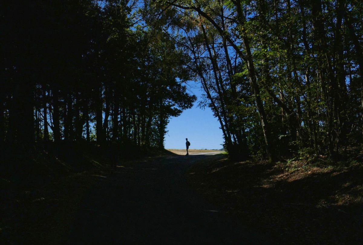 figuur tussen bomen aan horizon