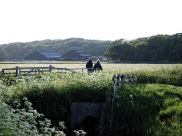 twee wandelaars in bloemenveld