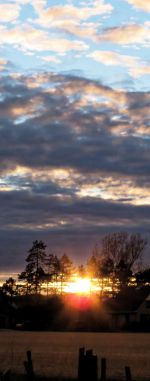 morgengloed